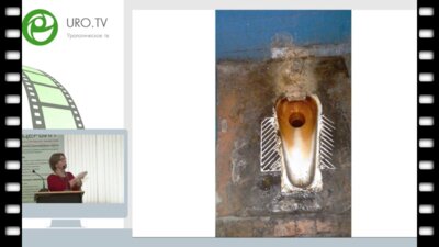 Кульчавеня Е.В. - Удовольствие, за которое не нужно платить