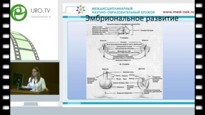 Блинова С.В. - Гипоспадия. Методы диагностики и хирургического лечения