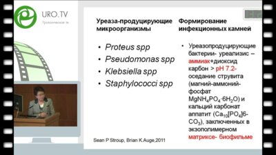 Перепанова Т.С. - Профилактика инфекционных осложнений и рецидивов камней почек после перкутанной нефролитотрипсии