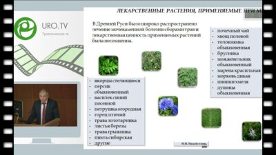 Саенко В.С. - Современный взгляд на роль растительных препаратов в лечении мочекаменной болезни
