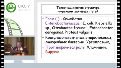 Ибишев Х.С. - Рецидивирующая инфекция нижних мочевых путей