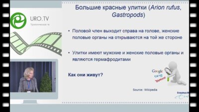 Katja Wolffenbuttel - Нарушение формирования пола - мультидисциплинарный подход