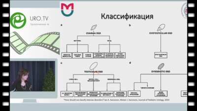 Ерохина Н.О. - Клинический случай - Синдром персистенции Мюллеровых протоков II типа у ребенка