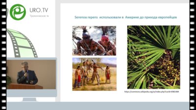 Амдий Р.Э. - Фитопрепараты в лечении заболеваний предстательной железы: за и против