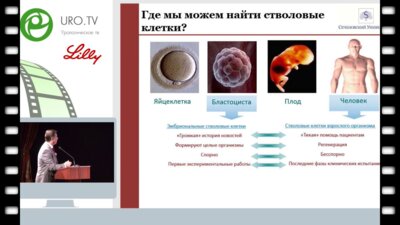Чалый М.Е. - Регенеративно-клеточные технологии в андрологии. От теории к практике