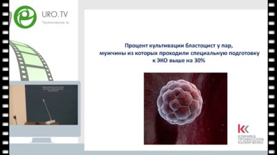 Греков Е.А. - Принципы терапии бесплодия при различных формах гипогонадизма