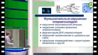 Божедомов В.А. - Бесплодие у мужчин при нормозооспермии