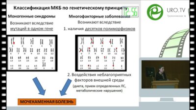 Литвинова М.М. - Возможности современных генетических технологий в лечении МКБ