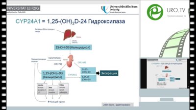 Ян Хальбриттер - Мочекаменная болезнь у взрослых когда стоит задуматься о генетических нарушениях