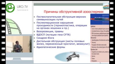 Коршунов М.Н. - Возможности эмпирической антиоксидантной терапии в повышении эффективности программы fresh-tesa icsi