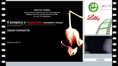 Бобровский Р.Н. - Закон парности, к вопросу о переломе полового члена