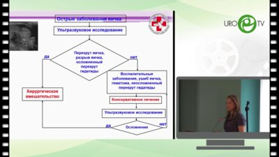 Григорьева М.В. - Дифференцированный подход к лечению заболеваний, входящих в понятие синдрома отечной мошонки у детей