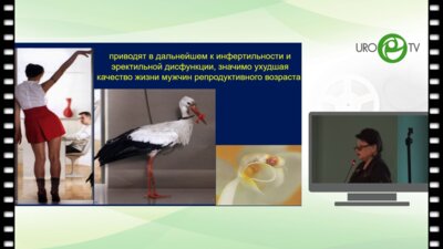 Володько Е.А. - Заболевания органов мошонки ассоциированные с воспалительными процессами в предстательной железе
