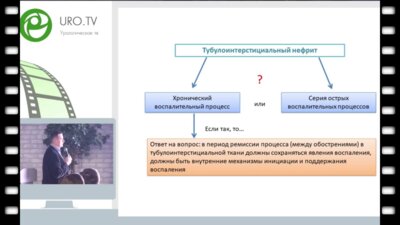 Батюшин М.М. - Туболоинтерстициальные поражения почек