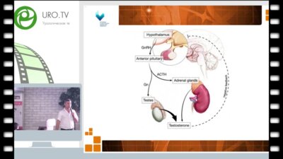 Солдаткин В.А. - Тестостерон-заместительная терапия