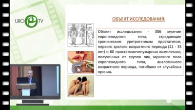 Винник Ю.Ю. - Клинико-анатомические параллели течения хронического простатита