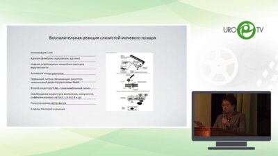 Перепанова Т.С. – Новые подходы к лечению и профилактике рецидивирующего цистита