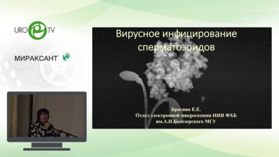 Брагина Е.Е. - Вирусное инфицирование сперматозоидов