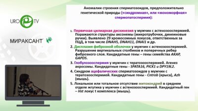 Брагина Е.Е. - Генетически обусловленные и функциональные формы спермопатологии
