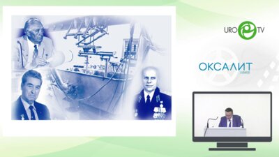 Роюк Р.В. - Оптимизация параметров сфокусированных ударных волн для повышения эффективности и безопасности ДПТ