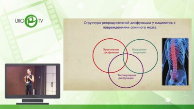 Коршунова Е.С. - Преодоление бесплодия у мужчин с поражениями спинного мозга