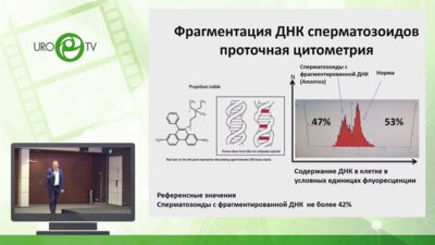 Прокопьев  Я.В. - Современные технологии в диагностике и коррекции мужской инфертильности