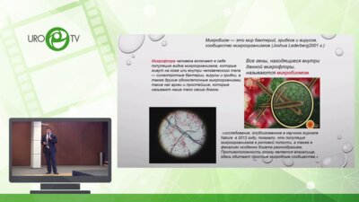 Фаниев М.В. - Скрининг тестикулярного микробиома у инфертильных больных