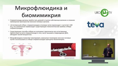 Гамидов С.И. - Дискутабельные проблемы мужской репродукции