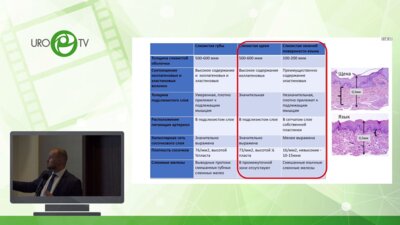 Котов С.В. - Применение слизистой ротовой полости в урологии