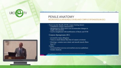 Валензуэла Р. - Основы фаллопротезирования гидравлическими имплантатами: советы эксперта для начинающих