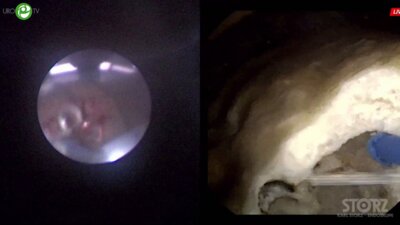 Мартов А.Г. - RIRS