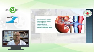 Миронов М.А. - Абсцесс почки: практические решения и клинические случаи