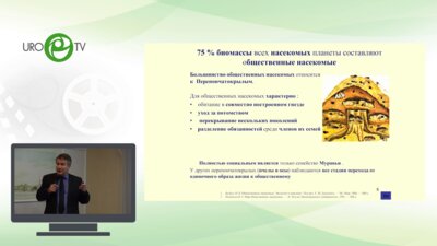 Карпов Е.И. - Энтомология. Новый тренд в Урологии