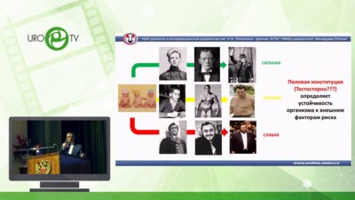 Ефремов Е.А. - Современная парадигма заместительной гормональной терапии у мужчин