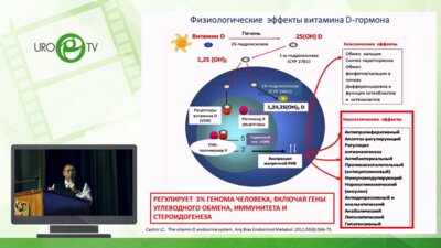 Братчиков О.И. - Результаты медикаментозной коррекции  дефицита  витамина D у больных  доброкачественной гиперплазией  простаты
