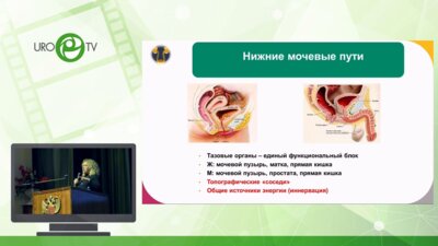 Ромих В.В. - Лечение гиперактивного мочевого пузыря. Стратегии, которые мы выбираем