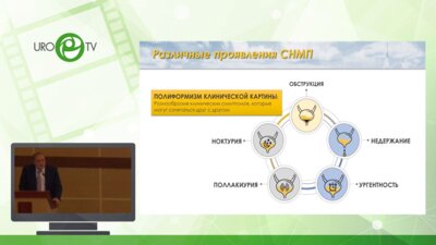 Камалов А.А. - Персонифицированный подход терапии ДГПЖ и симптомов нижних мочевых путей