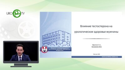Кастрикин Ю.В. - Влияние тестостерона на урологическое здоровье мужчины