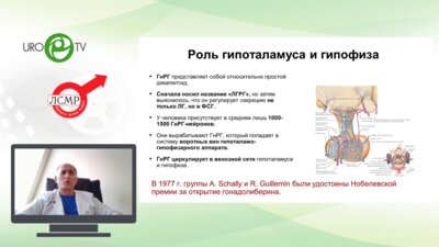 Гамидов С.И. -  Вторичный гипогонадизм у мужчин