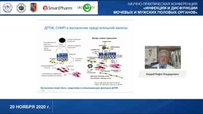 Амдий Р.Э. - ДГПЖ, хроническое воспаление и симптомы нижних мочевых путей современные аспекты диагностики и лечения