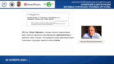 Кузьмин И.В. - Альфа-адренергическая селективность Уродинамические аспекты
