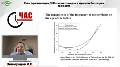 Виноградов И.В., Шибанова Е.И. - Роль фрагментации ДНК сперматозоидов в мужском бесплодии