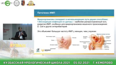 Феофилов И.В. - Рациональная фармакотерапия ИМП