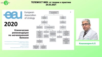 Кошкакарян А.Л. - Уратный камень: лечение, направленное на уменьшение камня в размере