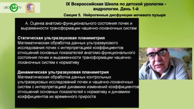 Бабанин И.Л. - Урология и нейроурология детского возраста – «в цифре»