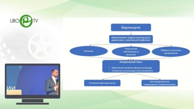 Котов С.В. - Применение комплекса Бестфертил после операции Мармара – результаты рандомизированного исследования