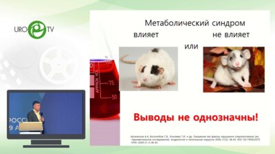 Полищук А.В. - Метаболический синдром, дизурия и гипогонадизм доказательство взаимосвязи в эксперименте