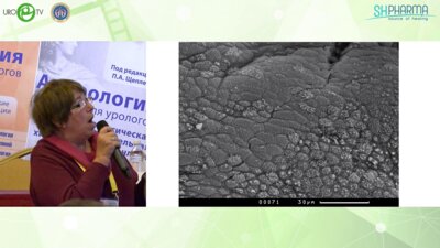 Брагина Е.Е. - Решение репродуктивных запросов индивидуумов ЛГБТ