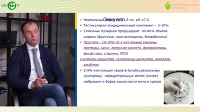 Коршунов М.Н. - Роль инфекций в генезе мужского бесплодия. О важном без предвзятости