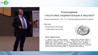 Виноградов И.В. - Азооспермия. Отсутствие сперматозойдов в эякуляте